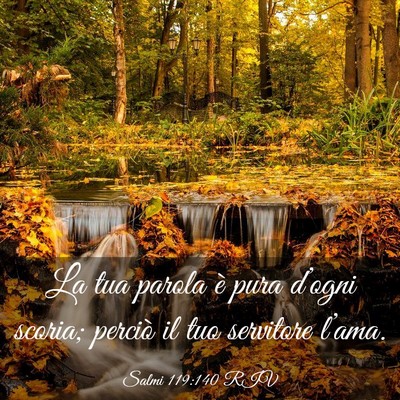 Picture 03 - Salmi 119:140 RIV - La tua parola è pura d’ogni scoria; perciò il - Bible Verse Picture