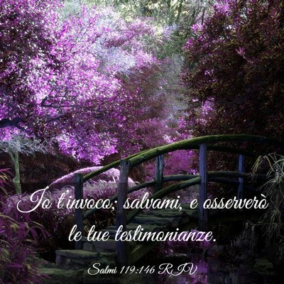 Picture 03 - Salmi 119:146 RIV - Io t’invoco; salvami, e osserverò le tue - Bible Verse Picture