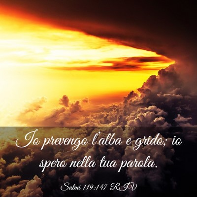 Picture 03 - Salmi 119:147 RIV - Io prevengo l’alba e grido; io spero nella tua - Bible Verse Picture