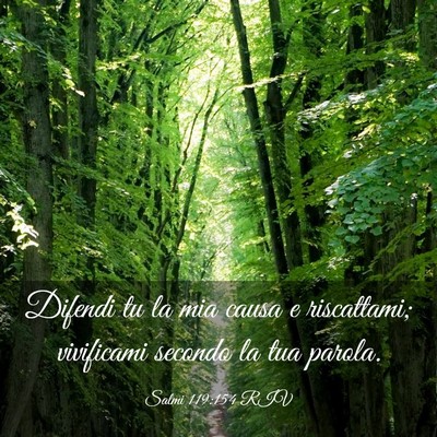 Picture 03 - Salmi 119:154 RIV - Difendi tu la mia causa e riscattami; vivificami - Bible Verse Picture