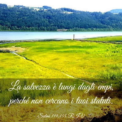Picture 03 - Salmi 119:155 RIV - La salvezza è lungi dagli empi, perché non - Bible Verse Picture