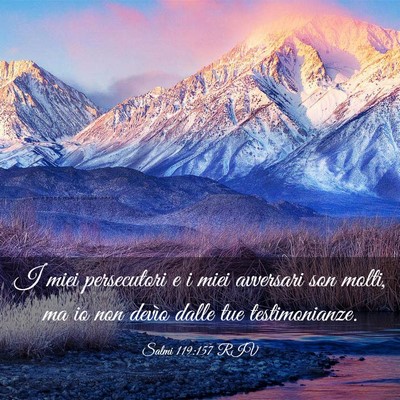 Picture 03 - Salmi 119:157 RIV - I miei persecutori e i miei avversari son molti, - Bible Verse Picture