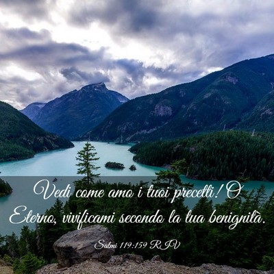 Picture 03 - Salmi 119:159 RIV - Vedi come amo i tuoi precetti! O Eterno, - Bible Verse Picture