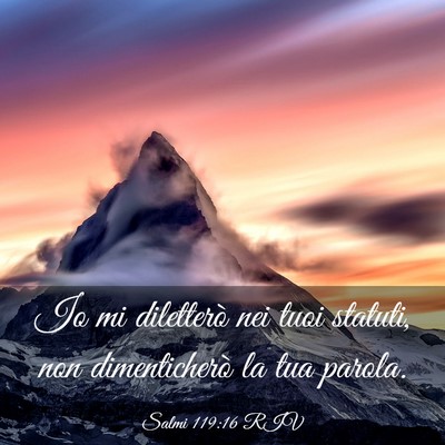 Picture 03 - Salmi 119:16 RIV - Io mi diletterò nei tuoi statuti, non - Bible Verse Picture