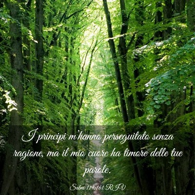 Picture 03 - Salmi 119:161 RIV - I principi m’hanno perseguitato senza ragione, - Bible Verse Picture