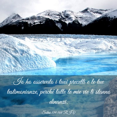 Picture 03 - Salmi 119:168 RIV - Io ho osservato i tuoi precetti e le tue - Bible Verse Picture