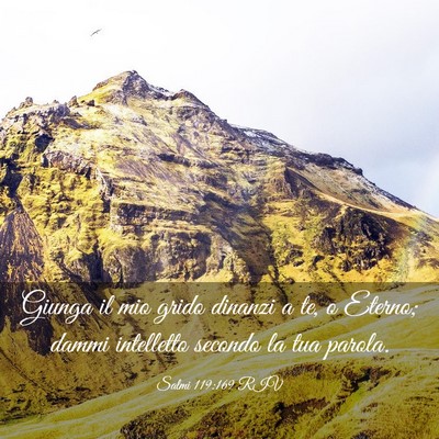 Picture 03 - Salmi 119:169 RIV - Giunga il mio grido dinanzi a te, o Eterno; dammi - Bible Verse Picture