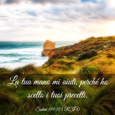 Picture 03 - Salmi 119:173 RIV - La tua mano mi aiuti, perché ho scelto i tuoi - Bible Verse Picture