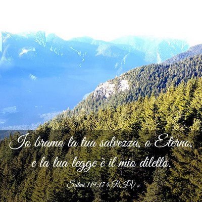 Picture 03 - Salmi 119:174 RIV - Io bramo la tua salvezza, o Eterno, e la tua - Bible Verse Picture