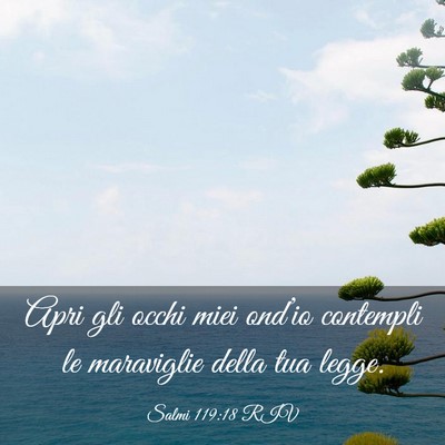 Picture 03 - Salmi 119:18 RIV - Apri gli occhi miei ond’io contempli le - Bible Verse Picture