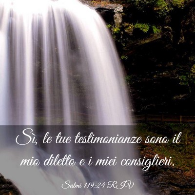 Picture 03 - Salmi 119:24 RIV - Sì, le tue testimonianze sono il mio diletto e i - Bible Verse Picture