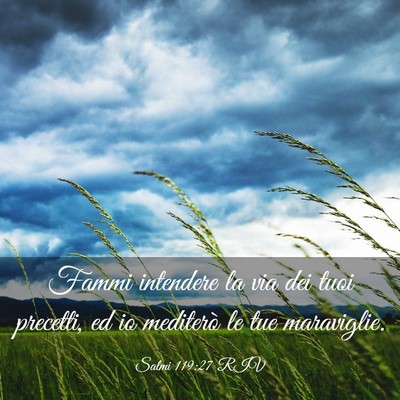 Picture 03 - Salmi 119:27 RIV - Fammi intendere la via dei tuoi precetti, ed io - Bible Verse Picture