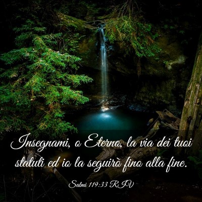 Picture 03 - Salmi 119:33 RIV - Insegnami, o Eterno, la via dei tuoi statuti ed - Bible Verse Picture