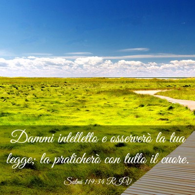 Picture 03 - Salmi 119:34 RIV - Dammi intelletto e osserverò la tua legge; la - Bible Verse Picture