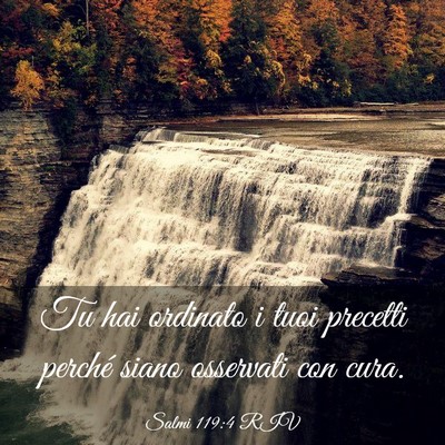 Picture 03 - Salmi 119:4 RIV - Tu hai ordinato i tuoi precetti perché siano - Bible Verse Picture