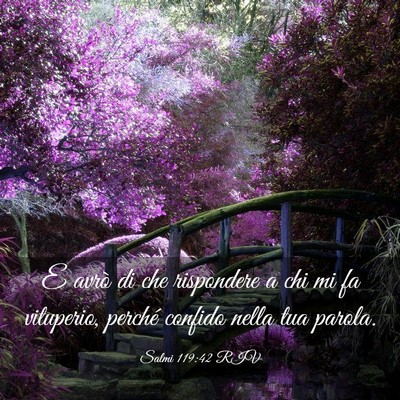 Picture 03 - Salmi 119:42 RIV - E avrò di che rispondere a chi mi fa vituperio, - Bible Verse Picture