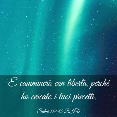 Picture 03 - Salmi 119:45 RIV - E camminerò con libertà, perché ho cercato i - Bible Verse Picture