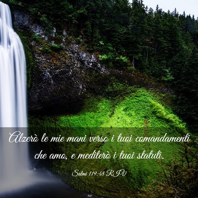 Picture 03 - Salmi 119:48 RIV - Alzerò le mie mani verso i tuoi comandamenti che - Bible Verse Picture