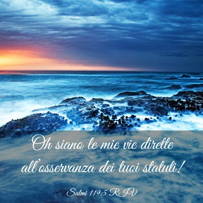 Picture 03 - Salmi 119:5 RIV - Oh siano le mie vie dirette all’osservanza dei - Bible Verse Picture