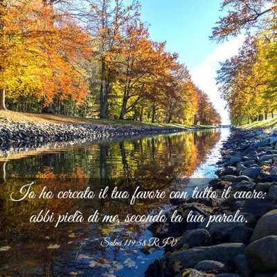 Picture 03 - Salmi 119:58 RIV - Io ho cercato il tuo favore con tutto il cuore: - Bible Verse Picture