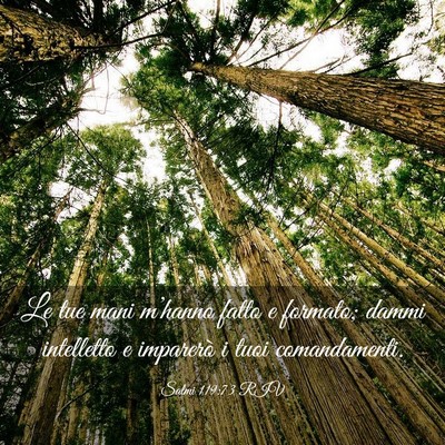 Picture 03 - Salmi 119:73 RIV - Le tue mani m’hanno fatto e formato; dammi - Bible Verse Picture