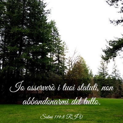 Picture 03 - Salmi 119:8 RIV - Io osserverò i tuoi statuti, non abbandonarmi - Bible Verse Picture