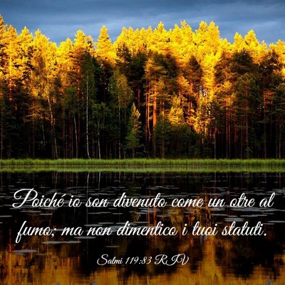 Picture 03 - Salmi 119:83 RIV - Poiché io son divenuto come un otre al fumo; ma - Bible Verse Picture