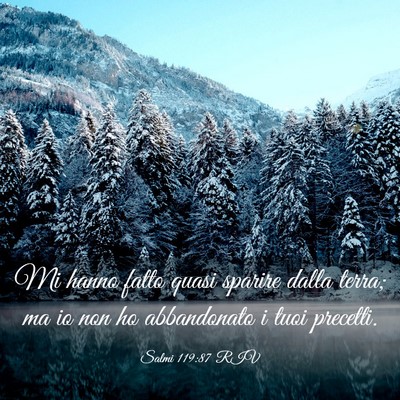 Picture 03 - Salmi 119:87 RIV - Mi hanno fatto quasi sparire dalla terra; ma io - Bible Verse Picture