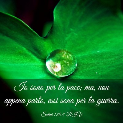 Picture 03 - Salmi 120:7 RIV - Io sono per la pace; ma, non appena parlo, essi - Bible Verse Picture
