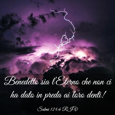Picture 03 - Salmi 124:6 RIV - Benedetto sia l’Eterno che non ci ha dato in - Bible Verse Picture
