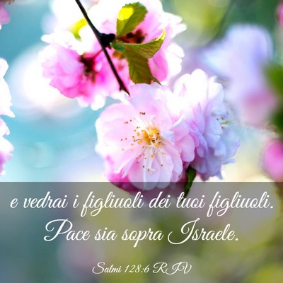 Picture 03 - Salmi 128:6 RIV - e vedrai i figliuoli dei tuoi figliuoli. Pace sia - Bible Verse Picture