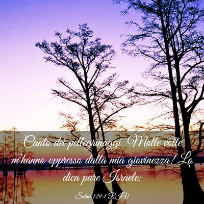 Picture 03 - Salmi 129:1 RIV - Canto dei pellegrinaggi. Molte volte m’hanno - Bible Verse Picture