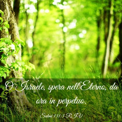 Picture 03 - Salmi 131:3 RIV - O Israele, spera nell’Eterno, da ora in - Bible Verse Picture