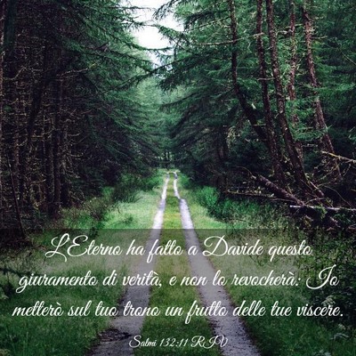 Picture 03 - Salmi 132:11 RIV - L’Eterno ha fatto a Davide questo giuramento di - Bible Verse Picture