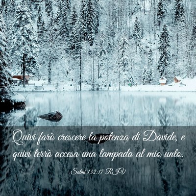 Picture 03 - Salmi 132:17 RIV - Quivi farò crescere la potenza di Davide, e - Bible Verse Picture