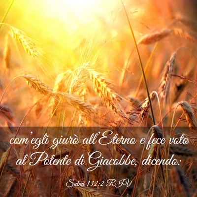 Picture 03 - Salmi 132:2 RIV - com’egli giurò all’Eterno e fece voto al - Bible Verse Picture