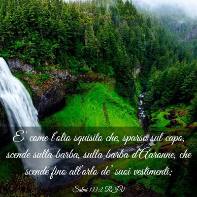 Picture 03 - Salmi 133:2 RIV - E’ come l’olio squisito che, sparso sul capo, - Bible Verse Picture