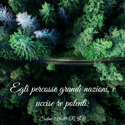 Picture 03 - Salmi 135:10 RIV - Egli percosse grandi nazioni, e uccise re - Bible Verse Picture