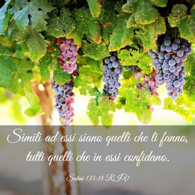 Picture 03 - Salmi 135:18 RIV - Simili ad essi siano quelli che li fanno, tutti - Bible Verse Picture