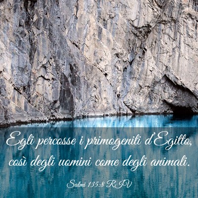 Picture 03 - Salmi 135:8 RIV - Egli percosse i primogeniti d’Egitto, così - Bible Verse Picture