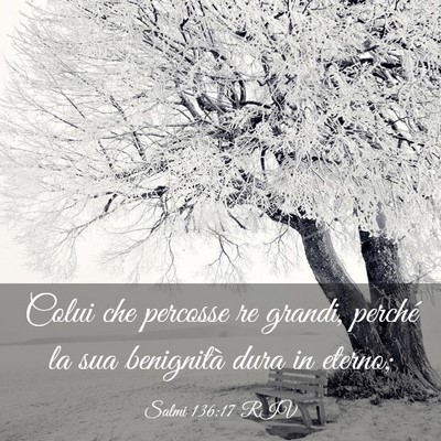 Picture 03 - Salmi 136:17 RIV - Colui che percosse re grandi, perché la sua - Bible Verse Picture