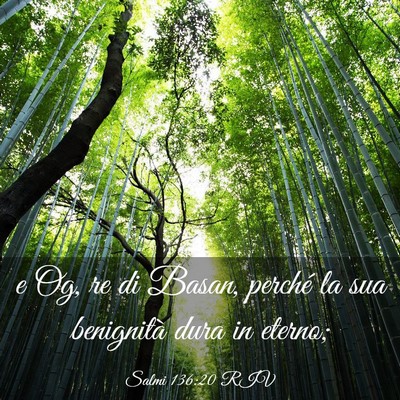 Picture 03 - Salmi 136:20 RIV - e Og, re di Basan, perché la sua benignità dura - Bible Verse Picture