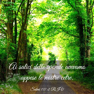 Picture 03 - Salmi 137:2 RIV - Ai salici delle sponde avevamo appese le nostre - Bible Verse Picture