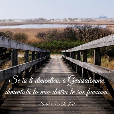 Picture 03 - Salmi 137:5 RIV - Se io ti dimentico, o Gerusalemme, dimentichi la - Bible Verse Picture