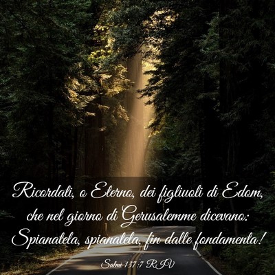 Picture 03 - Salmi 137:7 RIV - Ricordati, o Eterno, dei figliuoli di Edom, che - Bible Verse Picture