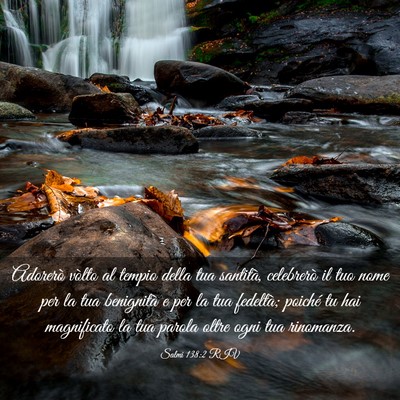 Picture 03 - Salmi 138:2 RIV - Adorerò vòlto al tempio della tua santità, - Bible Verse Picture
