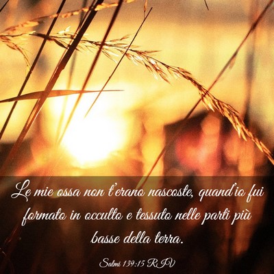Picture 03 - Salmi 139:15 RIV - Le mie ossa non t’erano nascoste, quand’io - Bible Verse Picture
