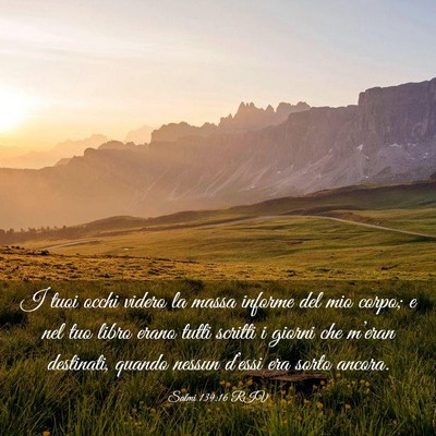 Picture 03 - Salmi 139:16 RIV - I tuoi occhi videro la massa informe del mio - Bible Verse Picture