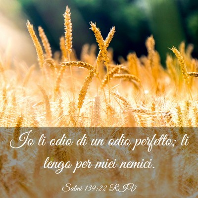 Picture 03 - Salmi 139:22 RIV - Io li odio di un odio perfetto; li tengo per miei - Bible Verse Picture