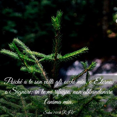 Picture 03 - Salmi 141:8 RIV - Poiché a te son vòlti gli occhi miei, o Eterno, - Bible Verse Picture